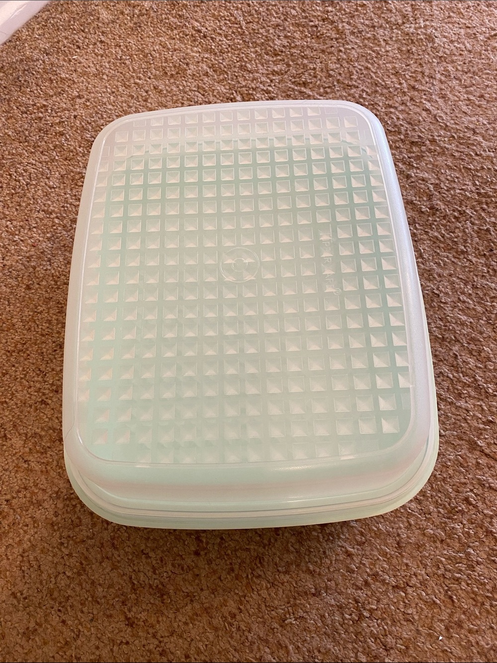 Vintage Tupperware Marinade Container Mint Green Season and Serve